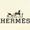 Hermes Logo (+$4)