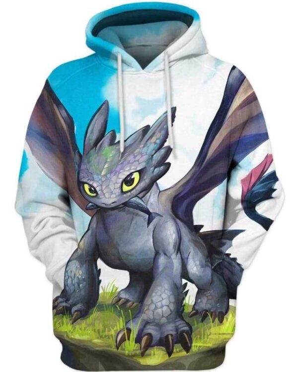 King Of Dragons 3D Hoodie, How To Train Your Dragon Dragons