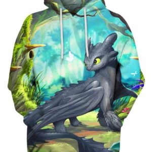 Toothless 3D Hoodie, How To Train Your Dragon Characters for Fan