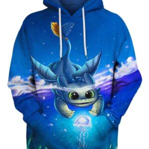 Where’s Toothless Fish 3D Hoodie, How To Train Your Dragon Characters for Fan